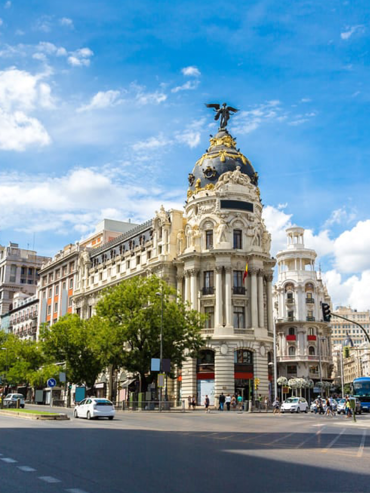 international moving madrid