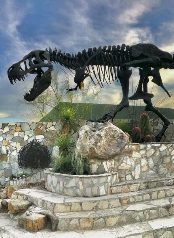 international moving saltillo